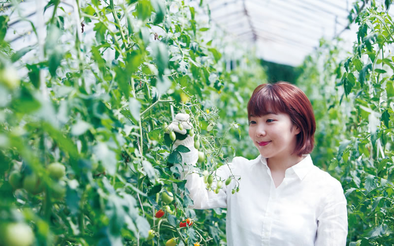 新潟食料農業大学